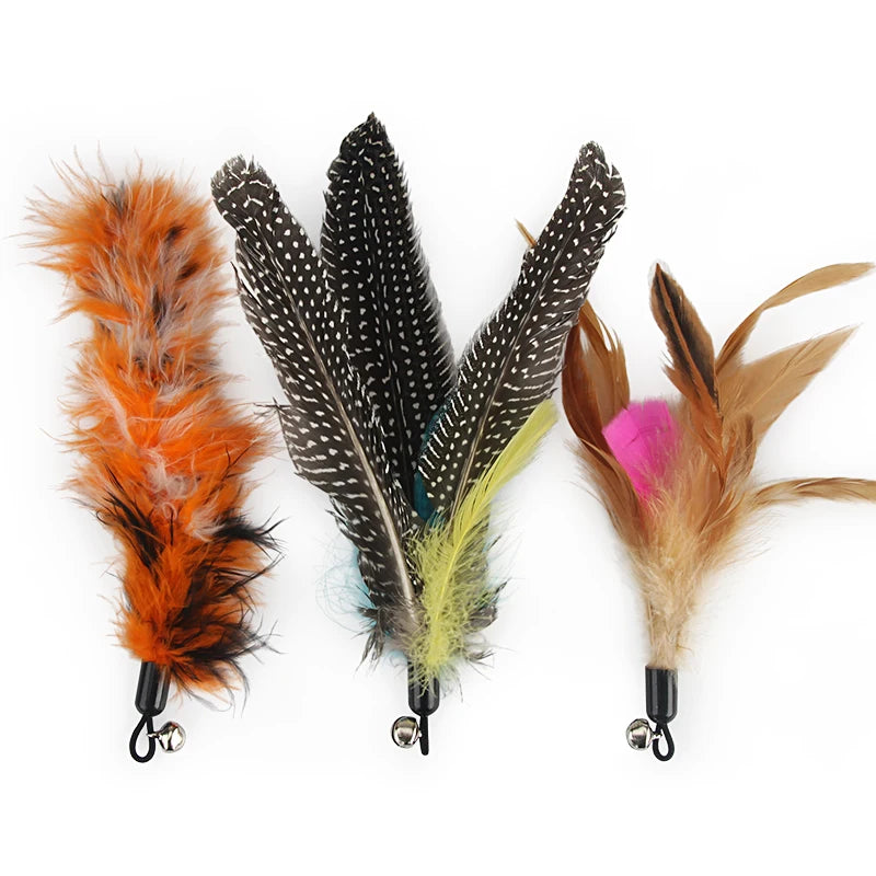 5pcs Feather Accessories Of Cat Stick Replace Cat Toy Teaser Stick