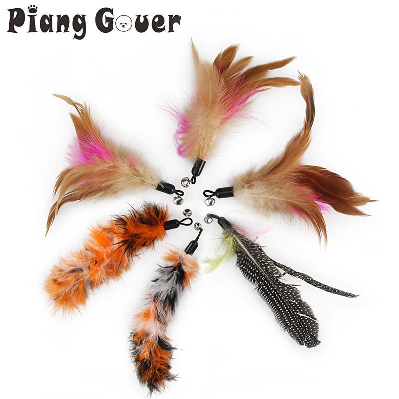5pcs Feather Accessories Of Cat Stick Replace Cat Toy Teaser Stick