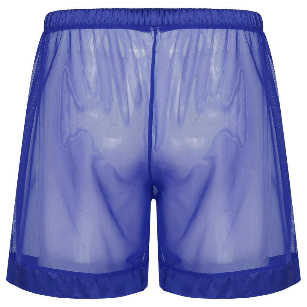Sheer Mesh Loose Boxer Shorts