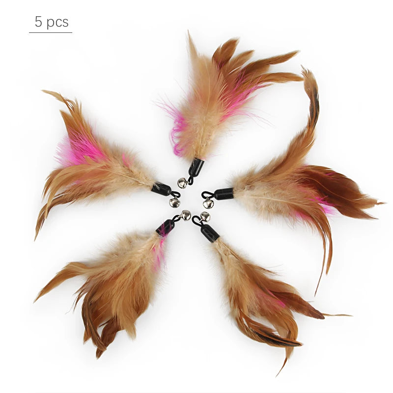 5pcs Feather Accessories Of Cat Stick Replace Cat Toy Teaser Stick