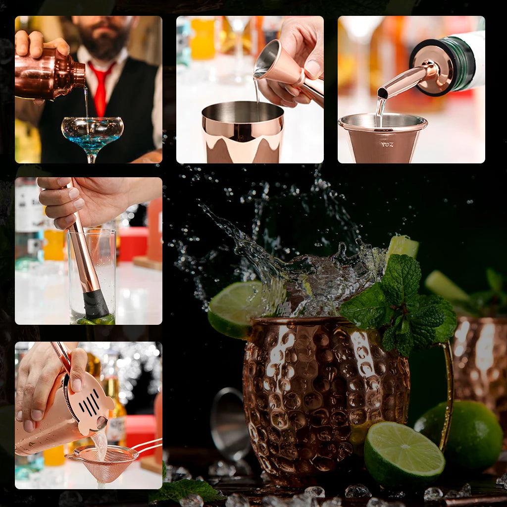 Cocktail Shaker Making Set,16pcs Bartender Kit For Mixer Wine Martini,