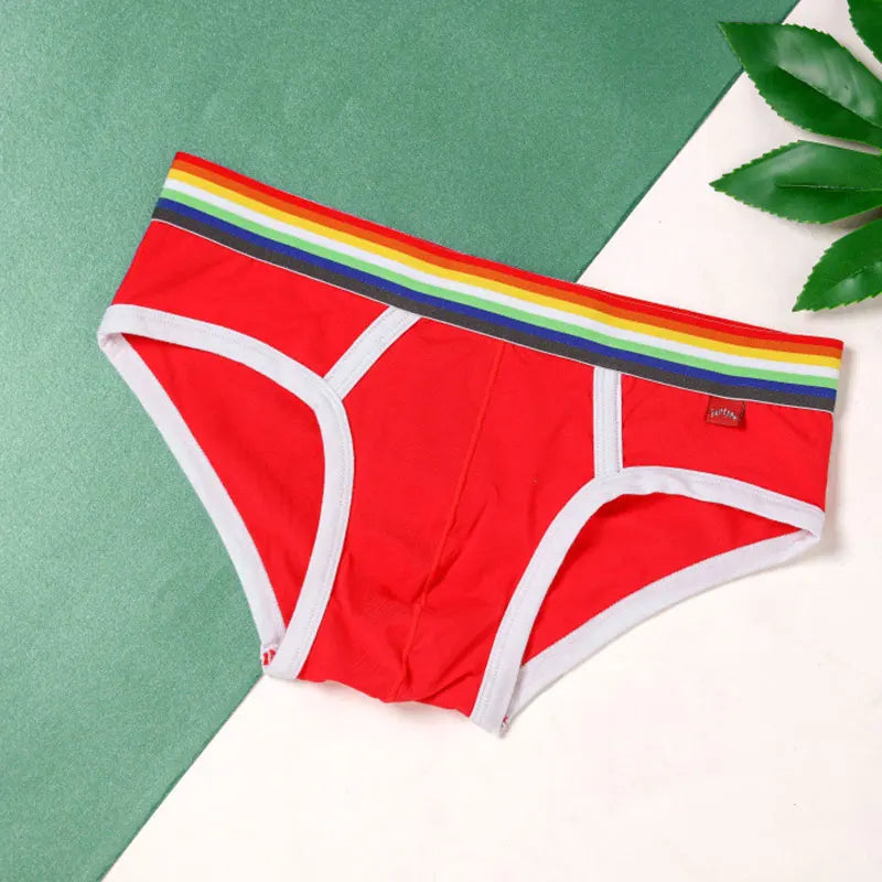 Rainbow-Waist Cotton Briefs
