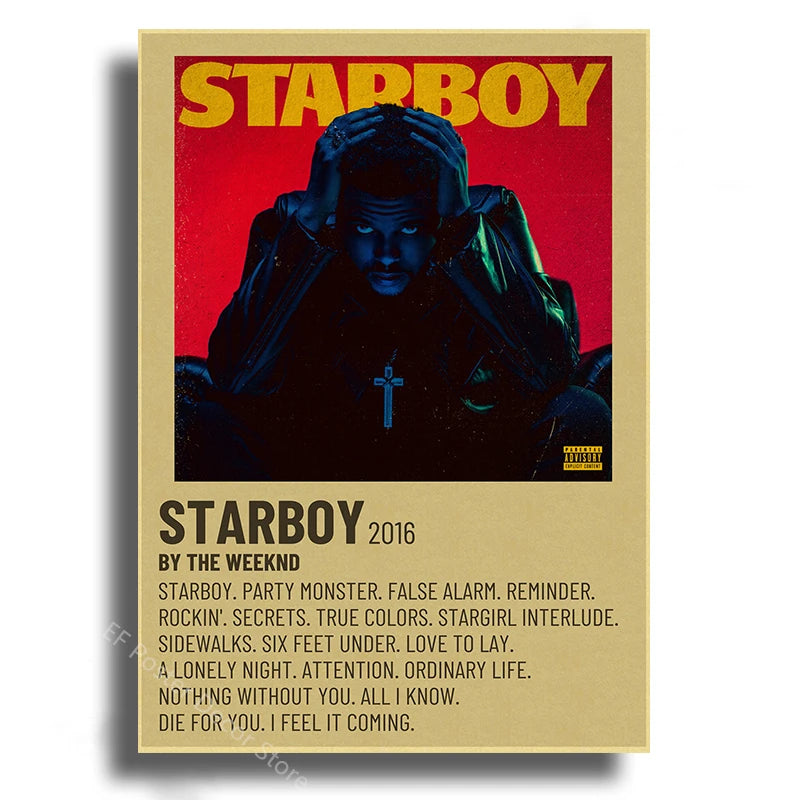 Music Album Aesthetic Wall Art Poster