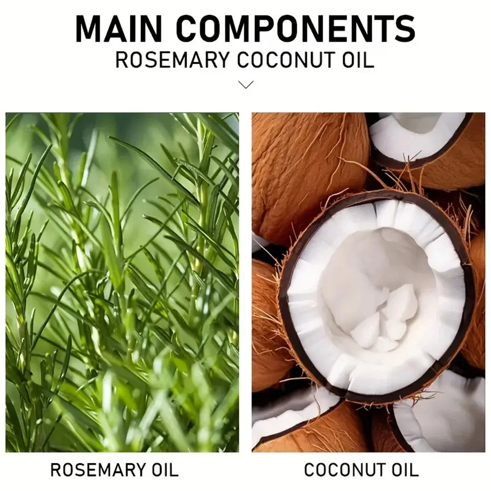 Rosemary Oil Hair Essential Coconut Oil Improve Hair Loss And Nourishes