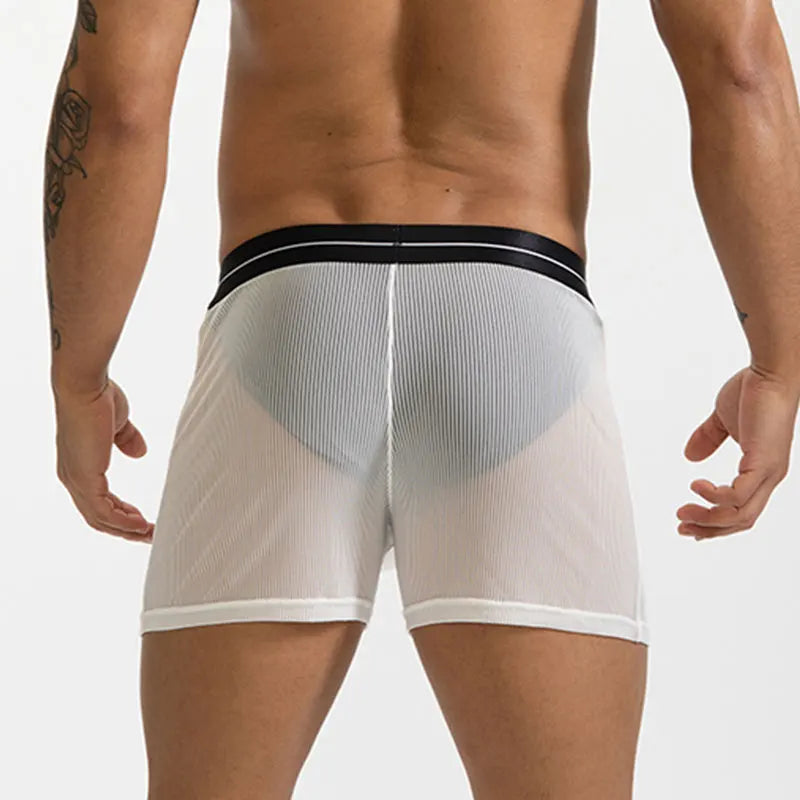 Mens Sexy Mesh Transparent Underwear Mid Waist Ultra-thin Boxer Shorts Breathable Panties Homewear Arrow Pants Solid Underpants