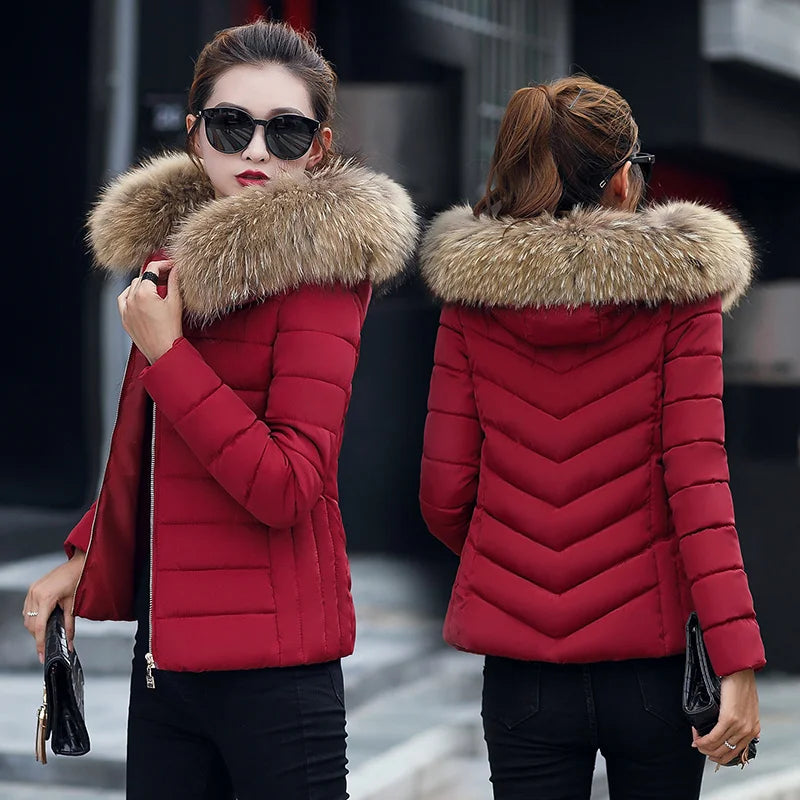 Winter Coat Women Fall Winter Fashion Down Cotton Parkas Coats Parkas Hooded Cropped Thick Warm Casual Women Loose Jacket