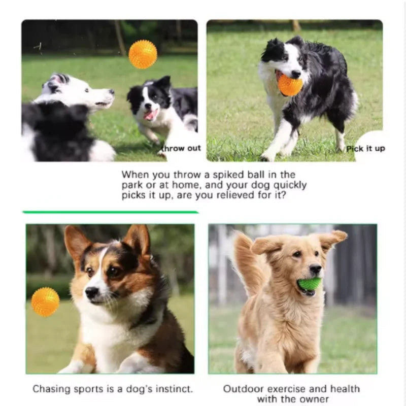 Pet Toy Ball For Cats And Dogs - Sounding Tooth Cleaning Chew Ball