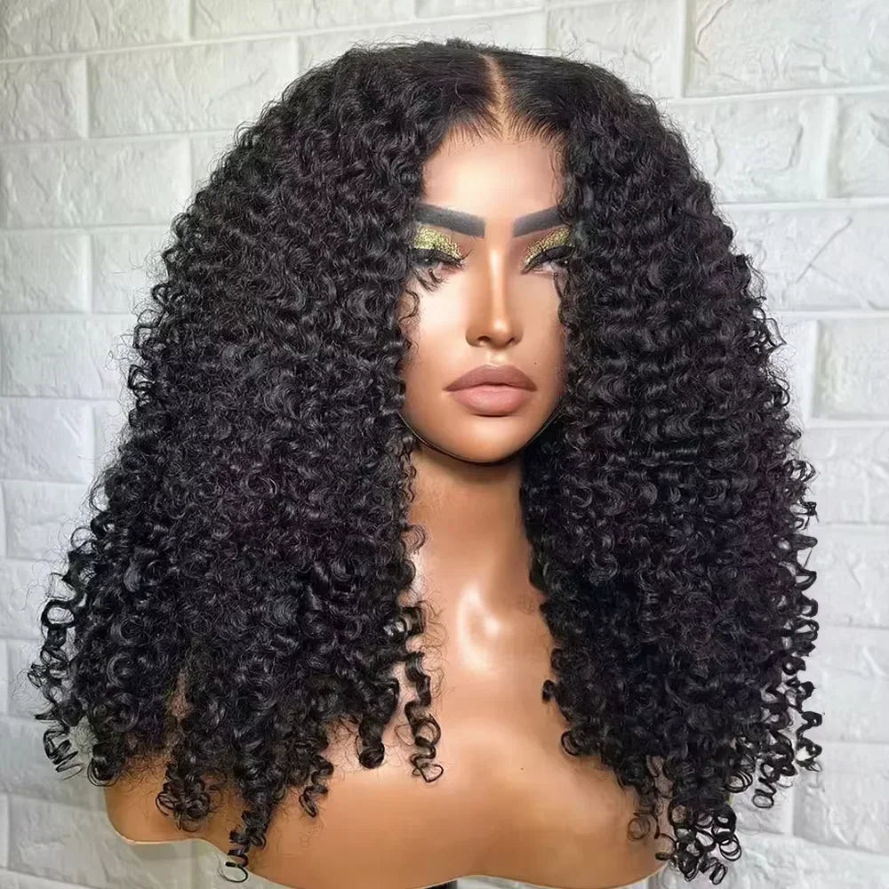Kinky Curly Wigs 13x6 HD Lace Frontal Wig Glueless Human Hair 4C Afro