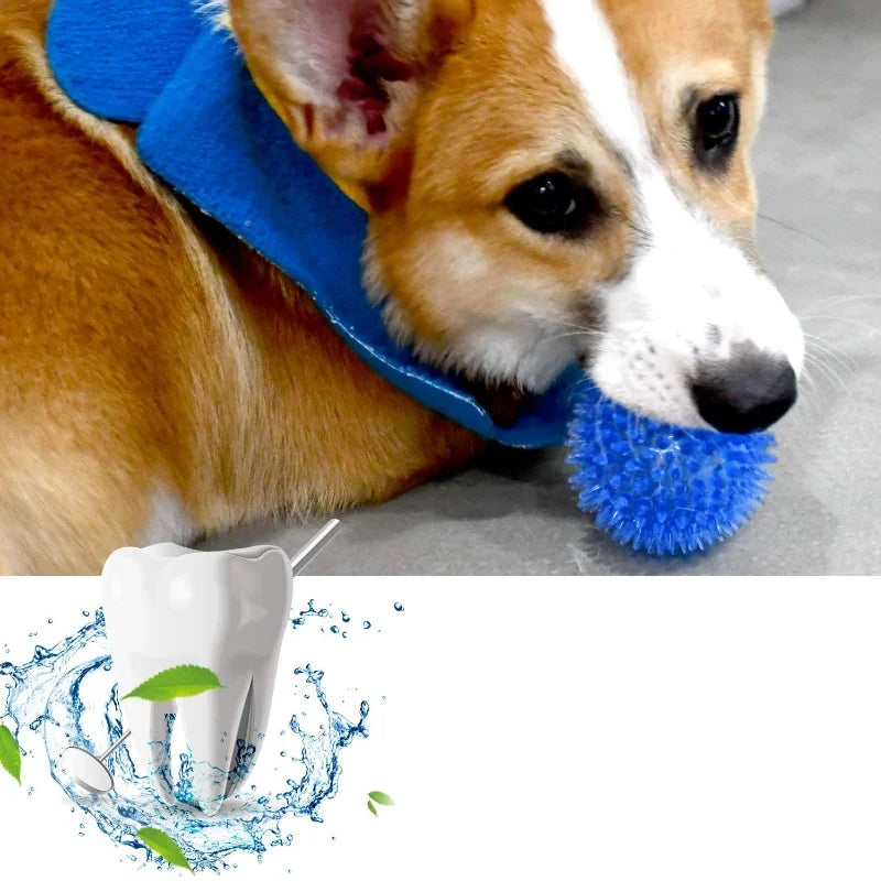 Pet Toy Ball For Cats And Dogs - Sounding Tooth Cleaning Chew Ball