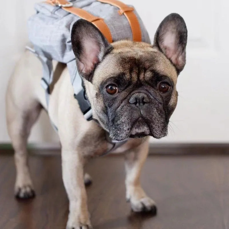 Retro British Dog Self Back Pack Carrying Hiking Bag Travel Packed Dog Poop Bags Backpack Dogs Self Outdoor Walking Pet Supplies