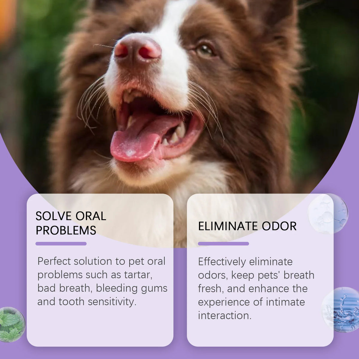 Pet Oral Care Spray For Cats And Dogs–Eliminates Bad Breath, Tartar, Gum